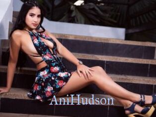 AniHudson