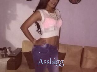 Assbigg