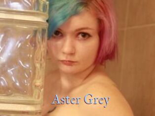 Aster_Grey