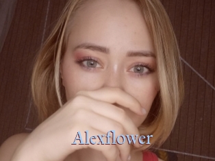 Alexflower