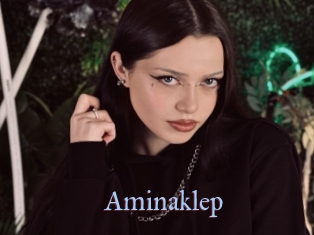 Aminaklep