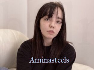 Aminasteels