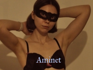 Aminet
