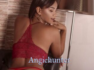 Angiehunter