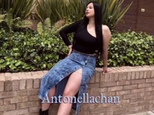 Antonellachan