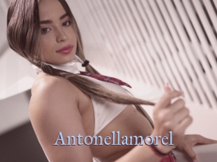 Antonellamorel