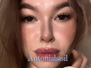 Antoniabasil