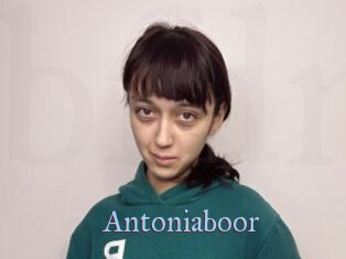 Antoniaboor