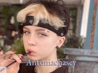 Antoniachasey