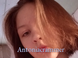 Antoniacrammer