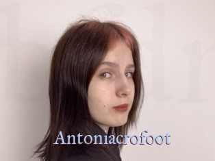 Antoniacrofoot