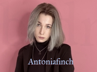 Antoniafinch