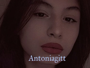 Antoniagitt