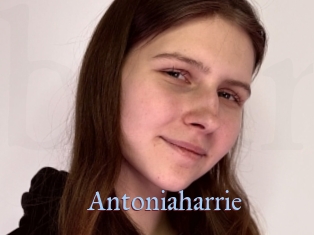 antoniaharrie Belles filles du net
