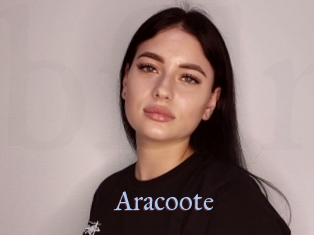 Aracoote