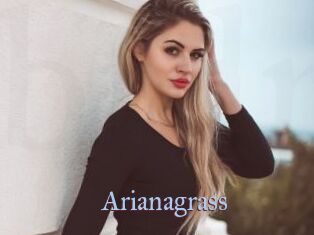Arianagrass