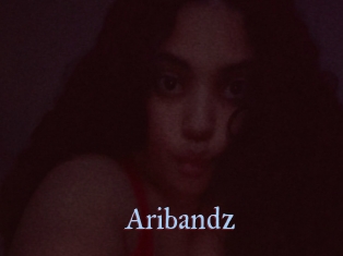 Aribandz