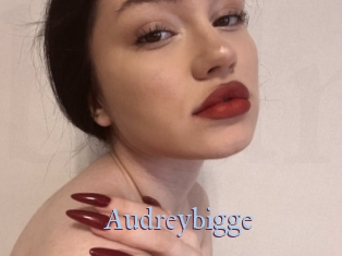 Audreybigge