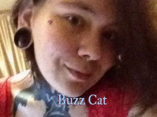 Buzz_Cat