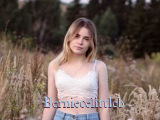 Berniecelittleb