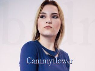 Cammyflower