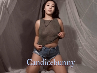 Candicebunny