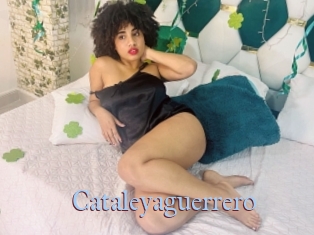 Cataleyaguerrero