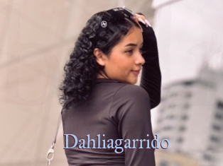 Dahliagarrido