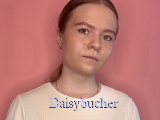 Daisybucher