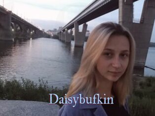 Daisybufkin