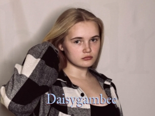 Daisygambee