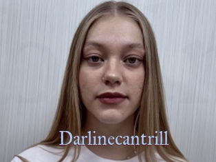 Darlinecantrill