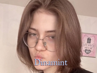 Dinamint