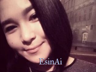 EsinAi