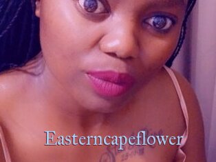 Easterncapeflower