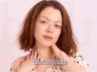 Elenecaris