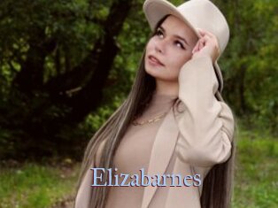 Elizabarnes