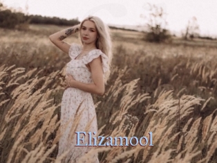 Elizamool