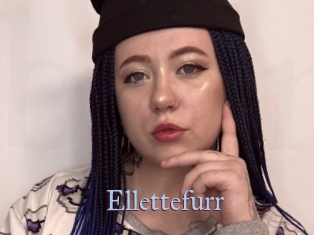 Ellettefurr