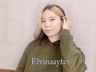 Elvinaaytes