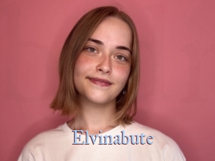 Elvinabute