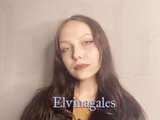 Elvinagales