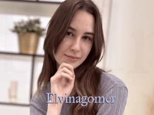 Elvinagomer