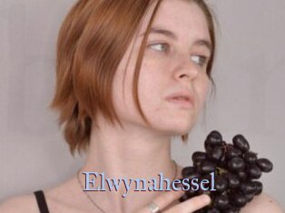 Elwynahessel