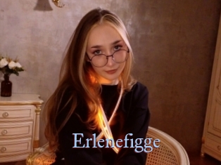 Erlenefigge