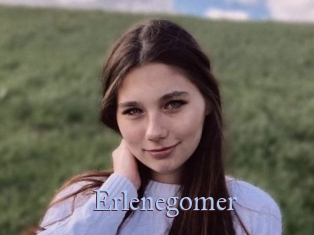 Erlenegomer