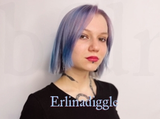 Erlinadiggle