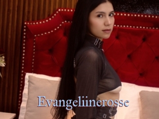 Evangeliinerosse