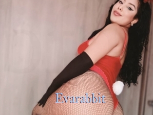 Evarabbit