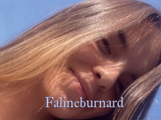 Falineburnard